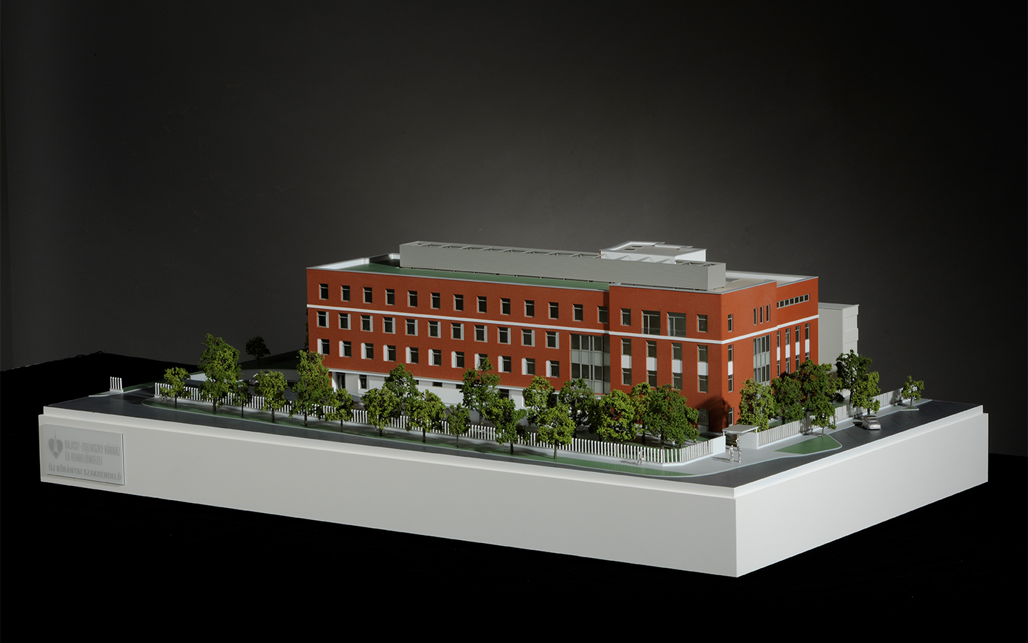 Architectural model hospital marketing presentation realistic scale 100